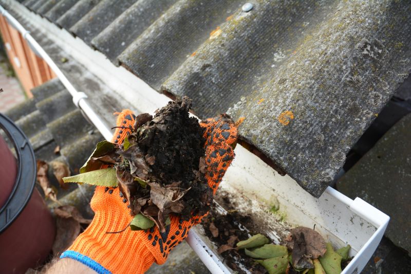 Clogged Gutter Removal